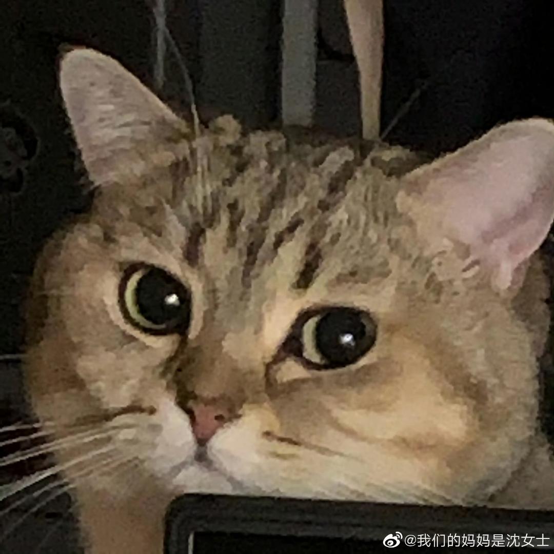 痛快的帅哥