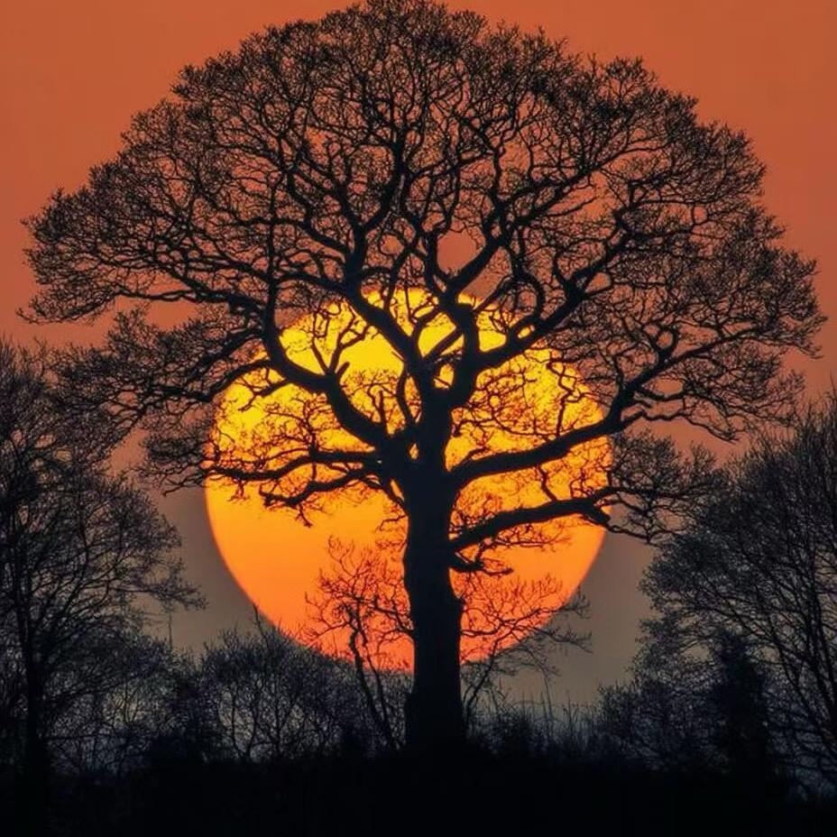 退役军《三少》