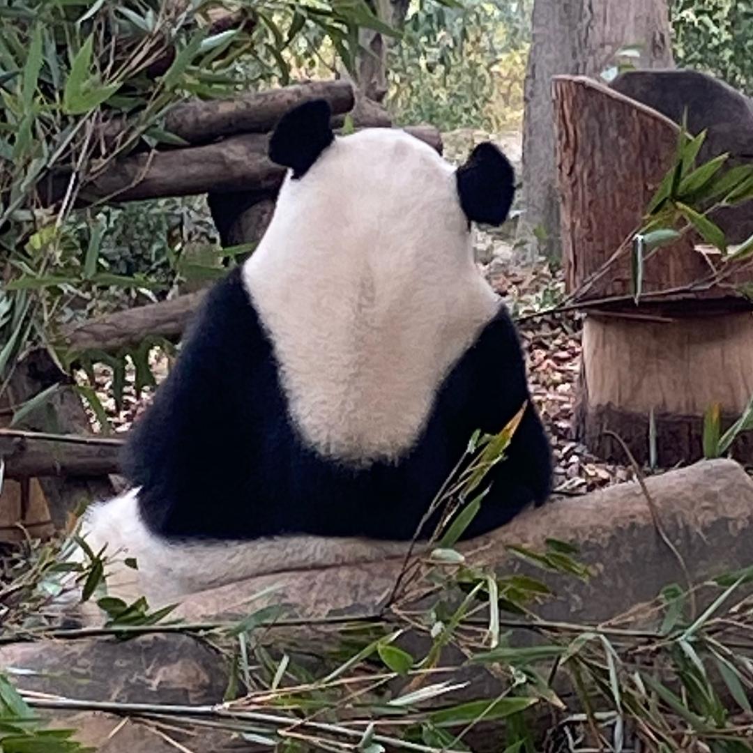 全场最佳