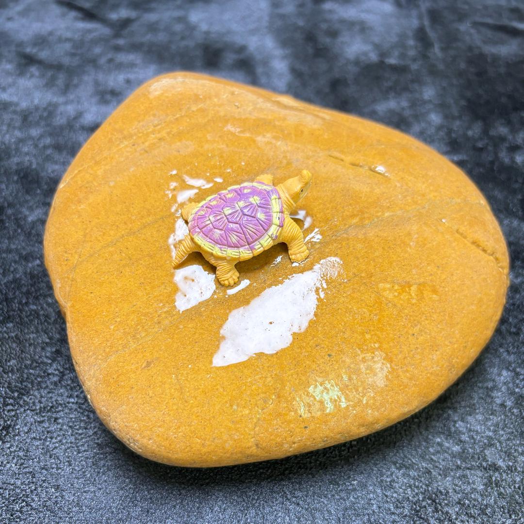 皮皮黄蜡石（乌龟晒台）