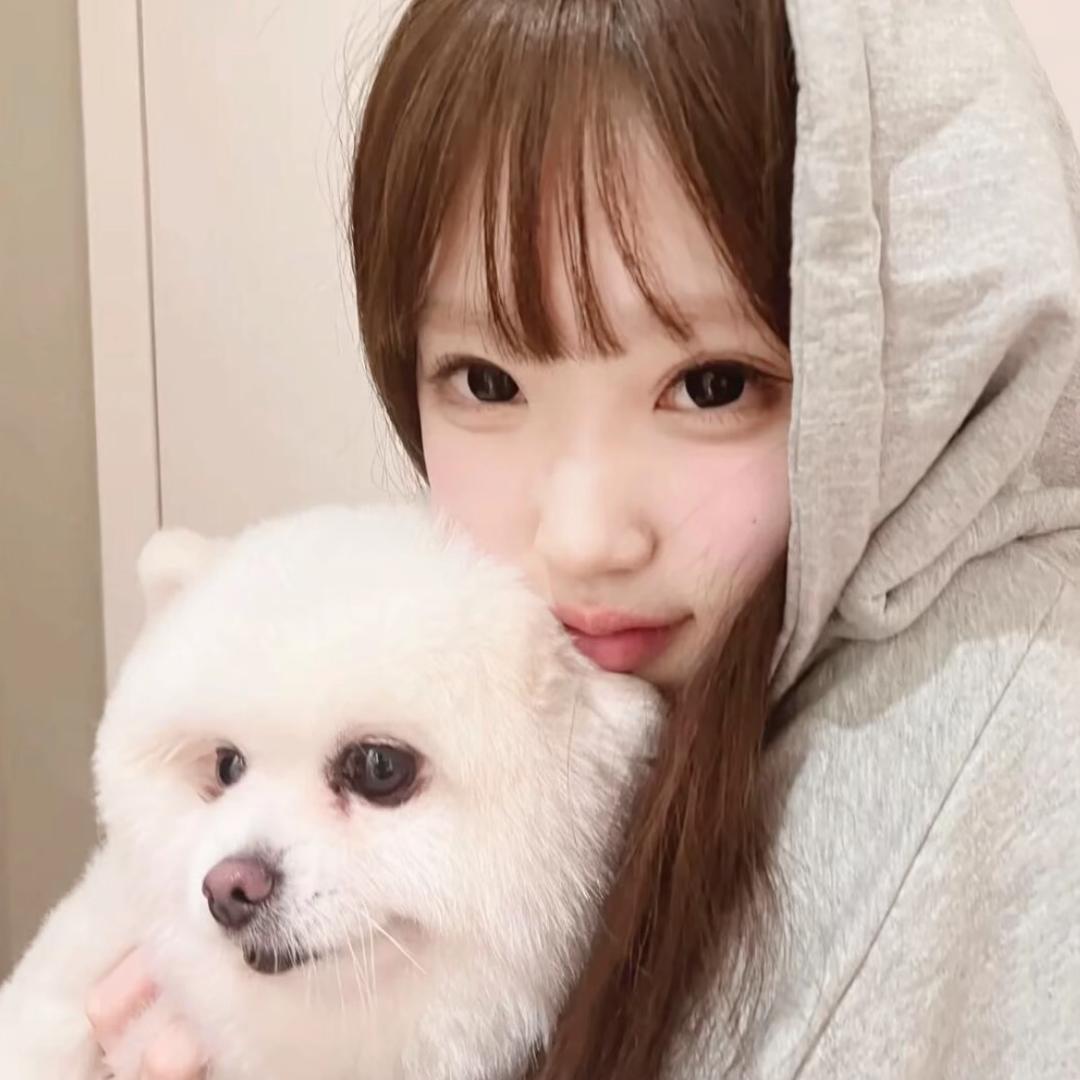 泡泡