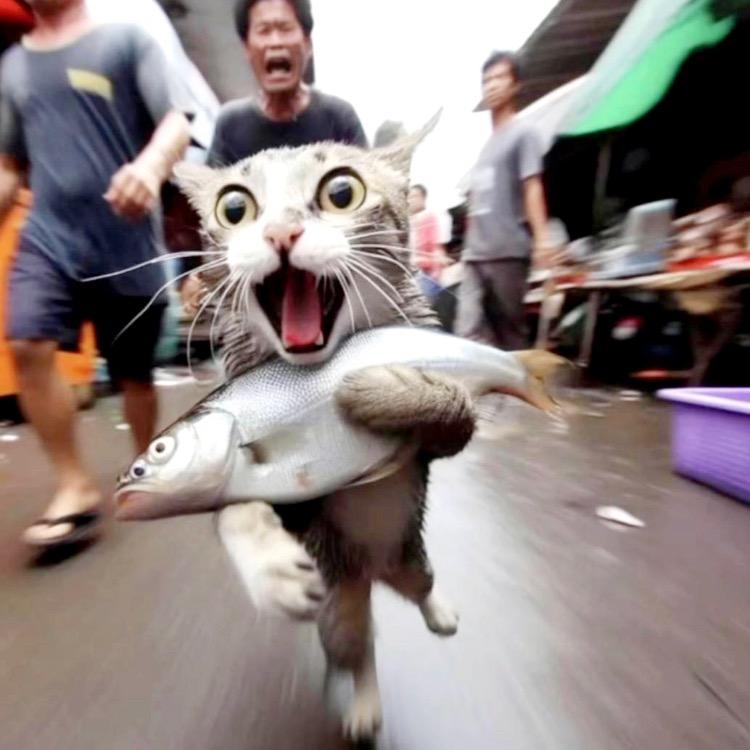 歪Y