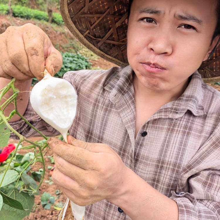 小小念乡人