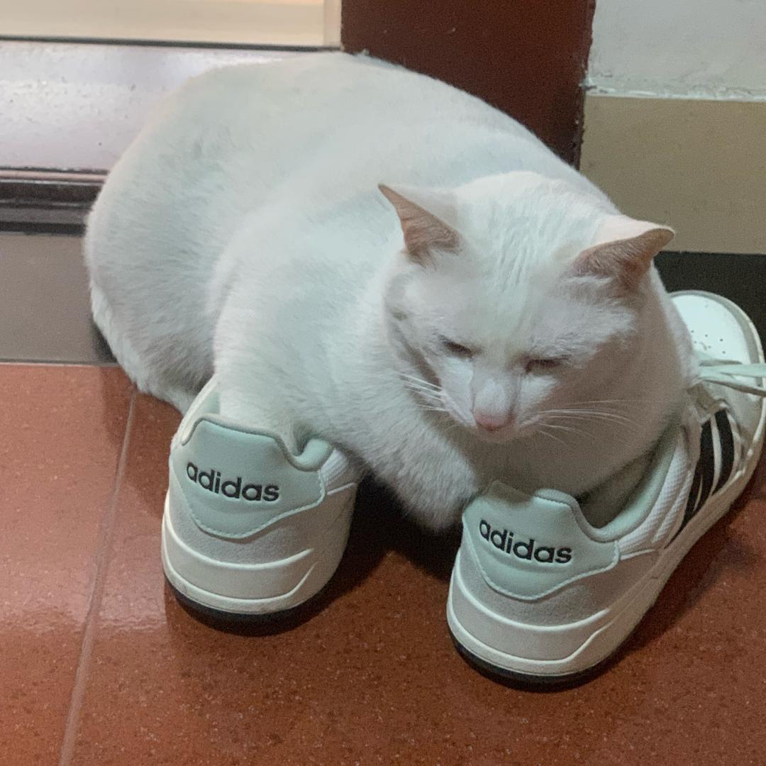 鈿
