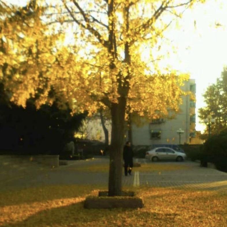 心理工作者老吕