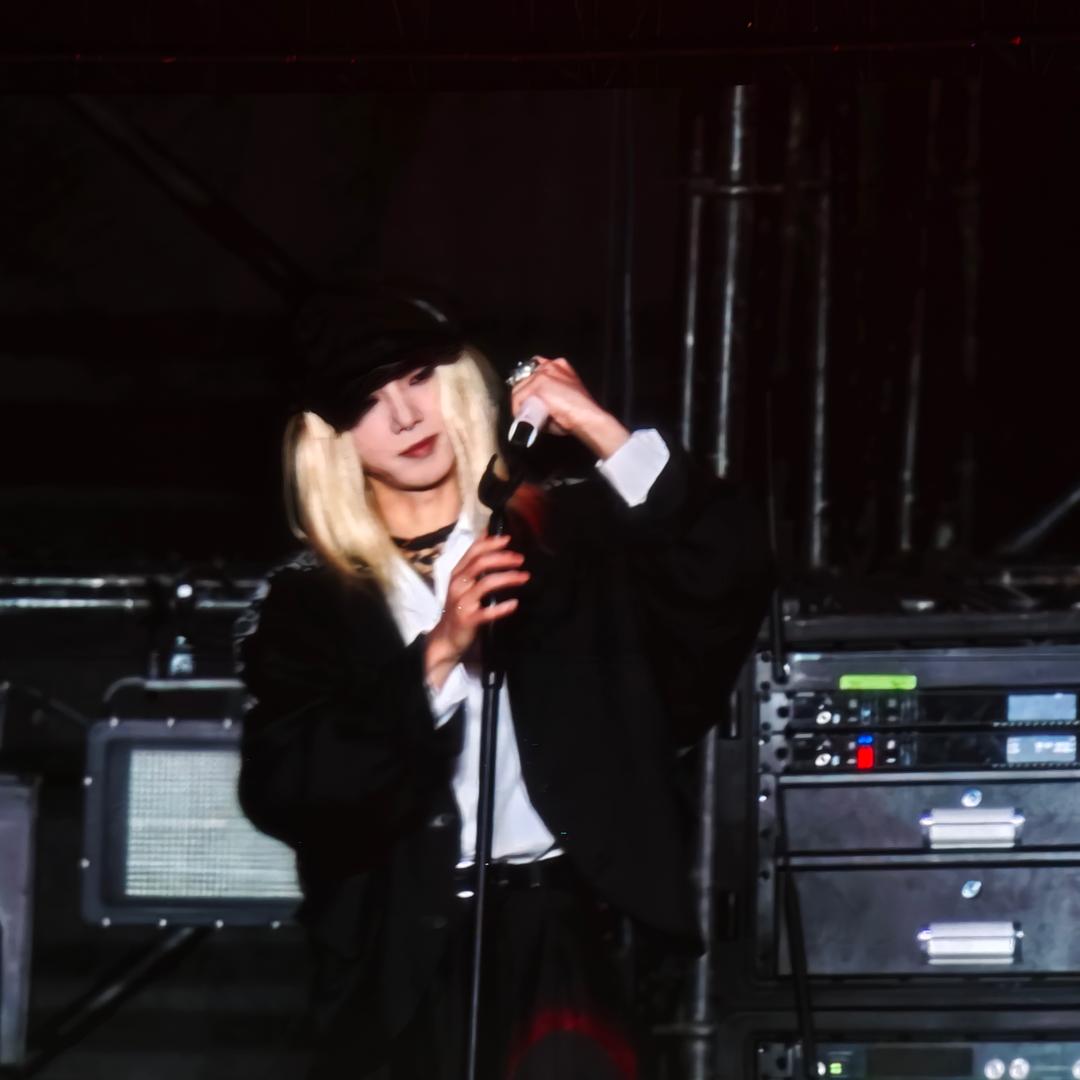 一只黑煤球球球