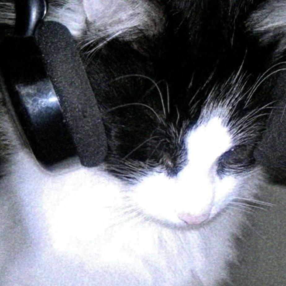 DJ CANYU🎧