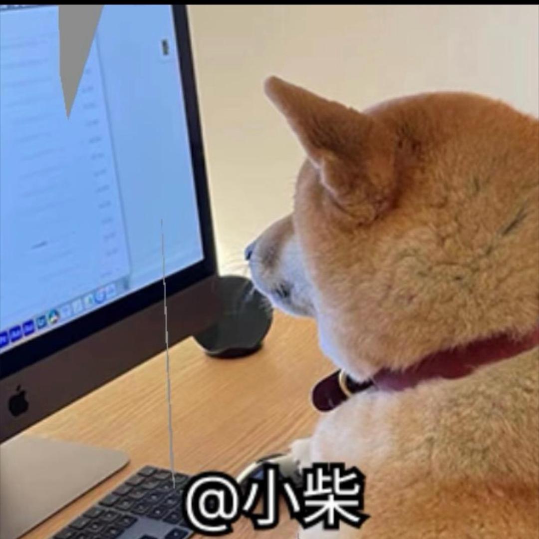 @小柴