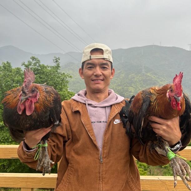 小二哥的凉山铺子