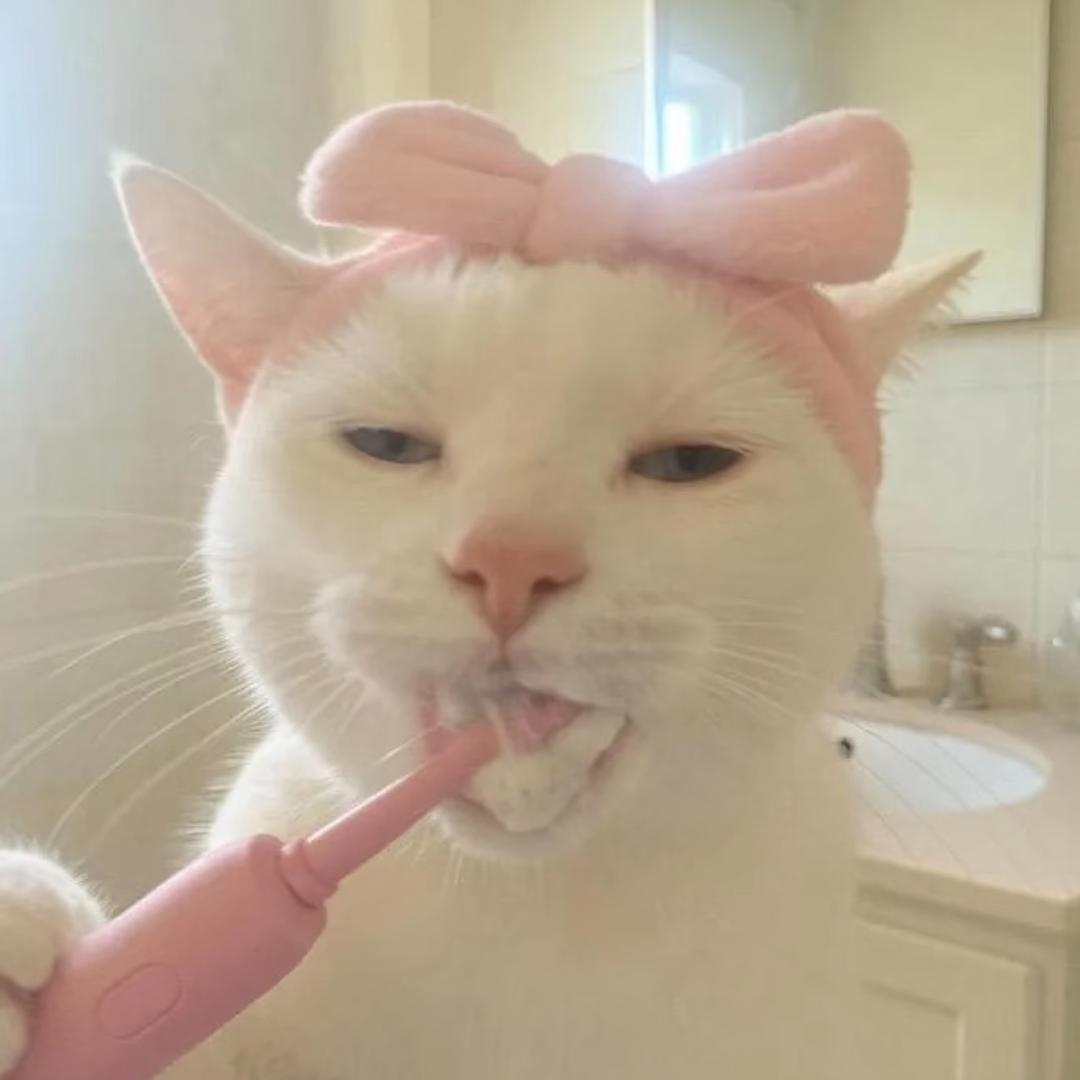忧郁的泡芙