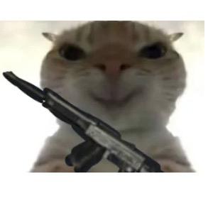 菜坤 （三角洲跑刀）