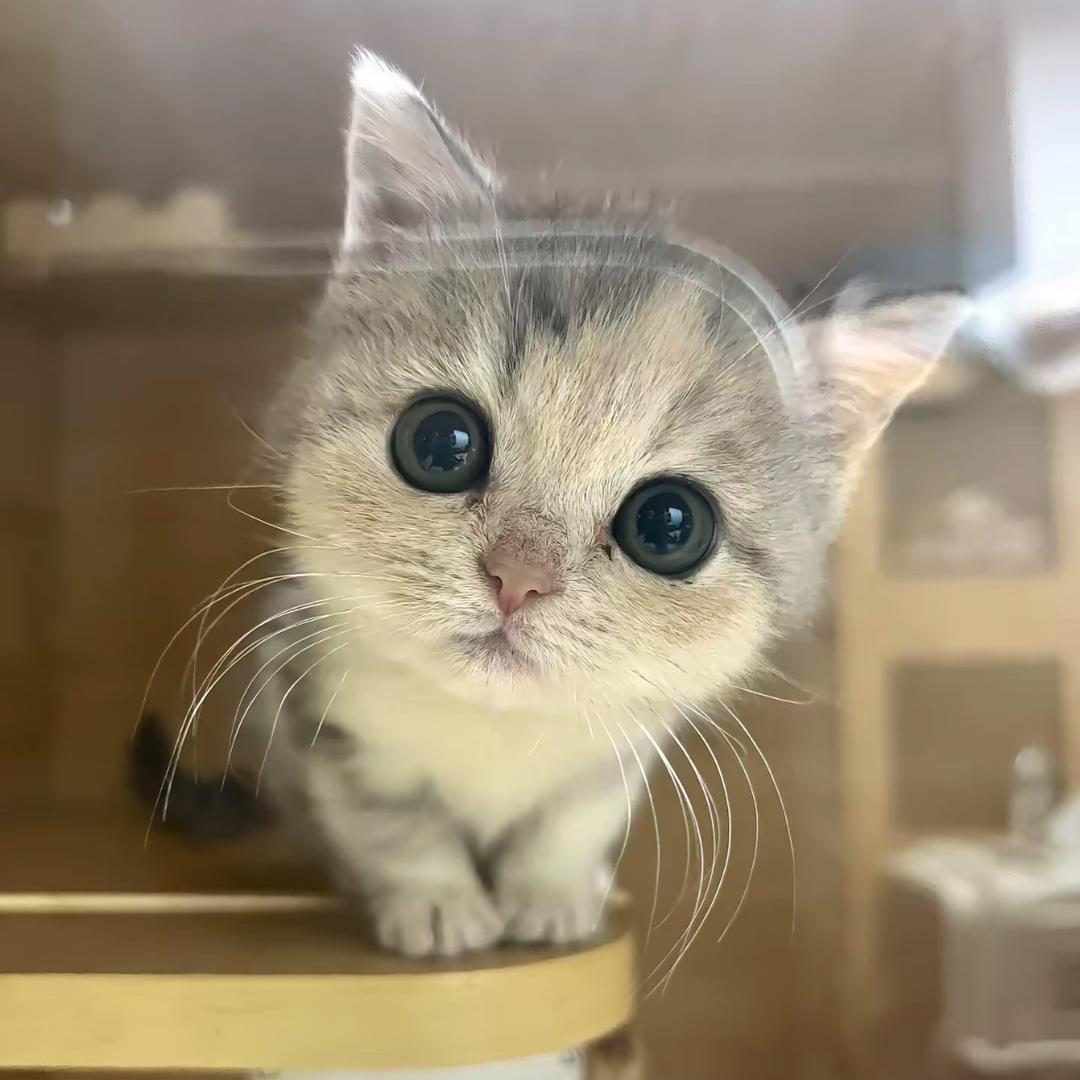 uu呦