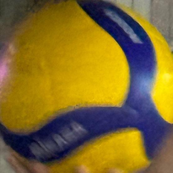 全网寻找遗失的小米