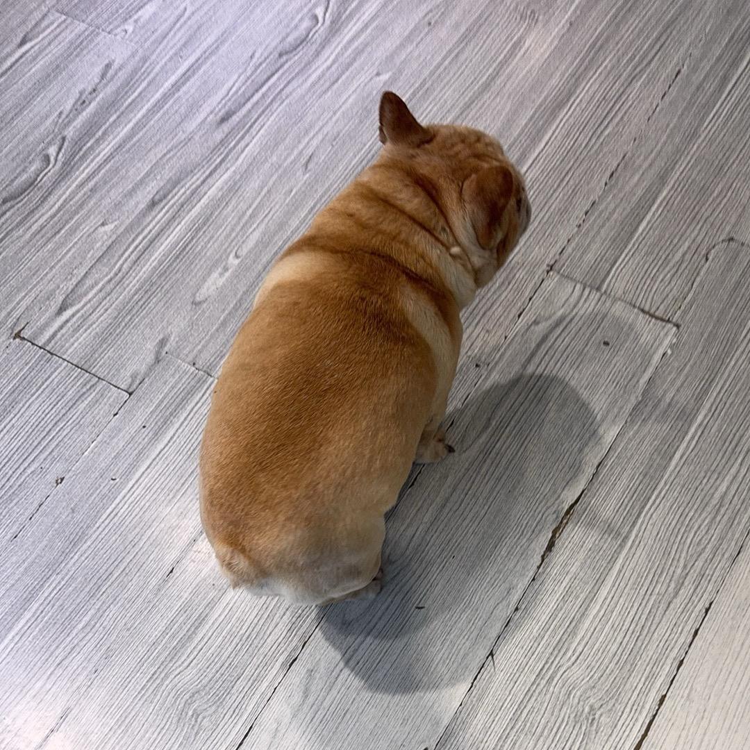 嘻嘻哈哈
