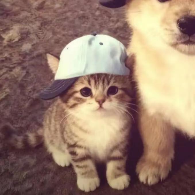 Y·