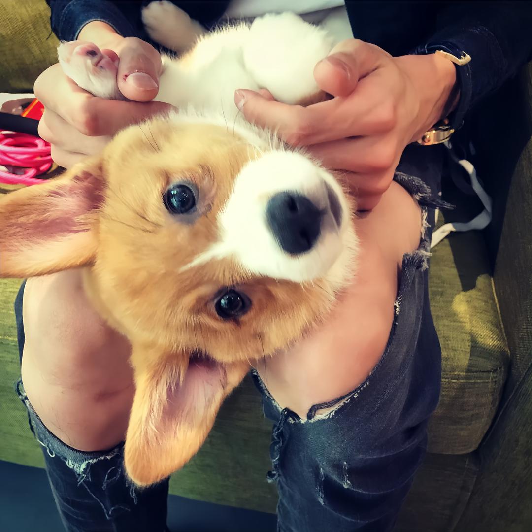 ㅤㅤ可的、🦔