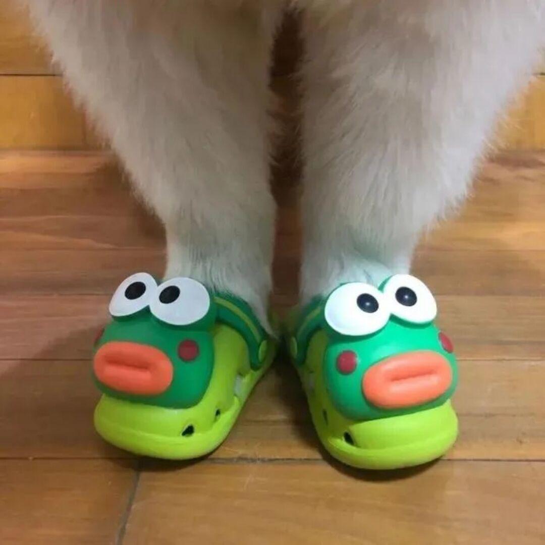 AAAAAA花生零售批发小袁