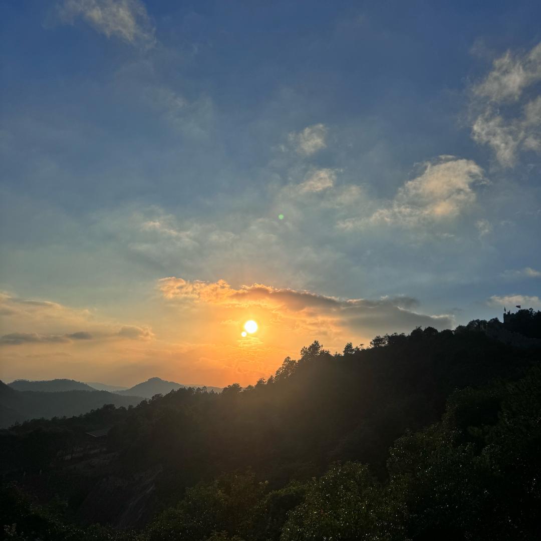 ❤️十一🍒