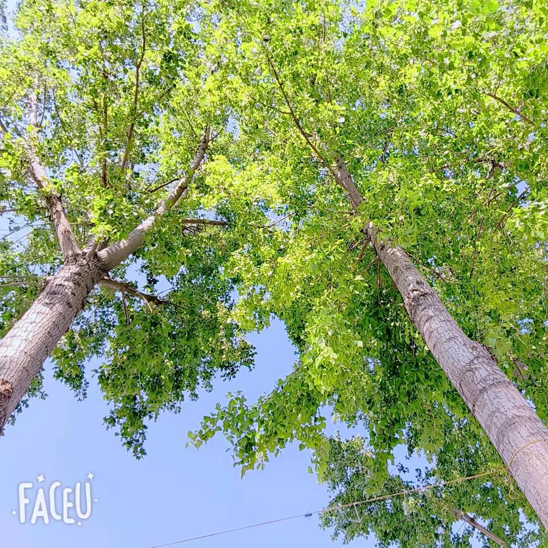 抖音直播返场福利