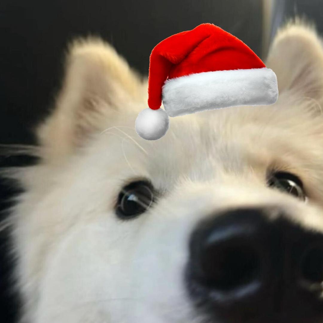 每天像个机器人一样处理各种各样的程序