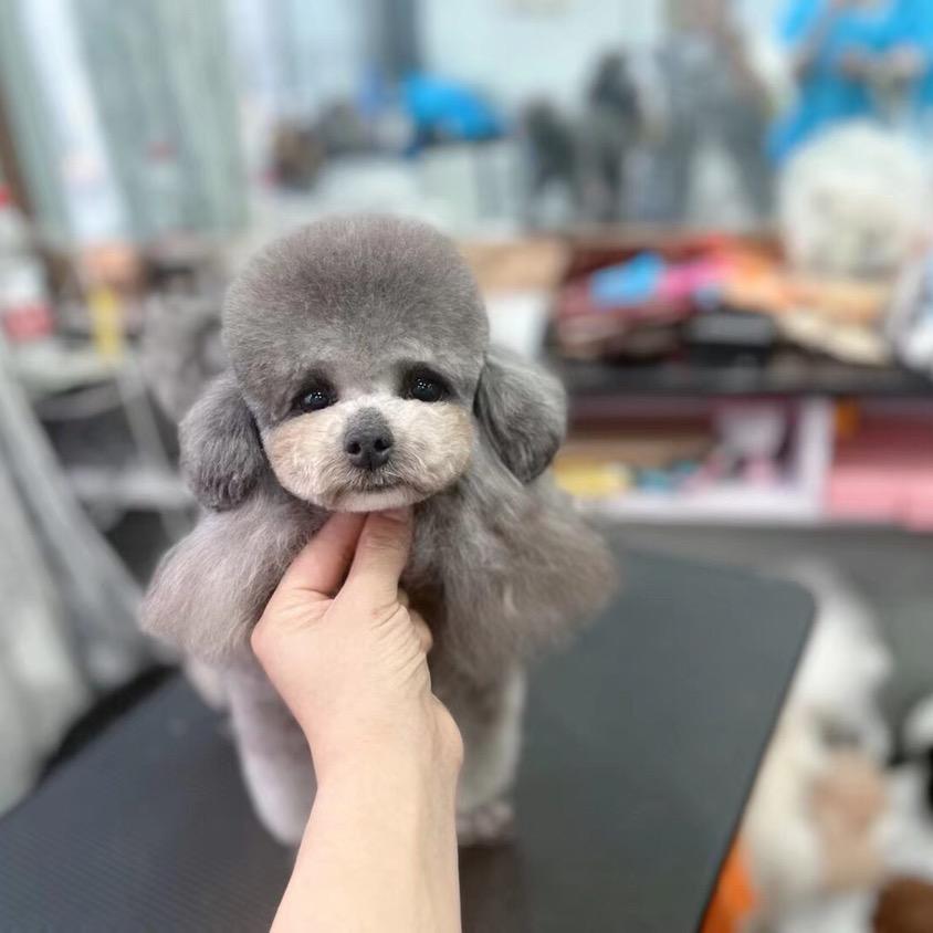 静静宠物生活馆