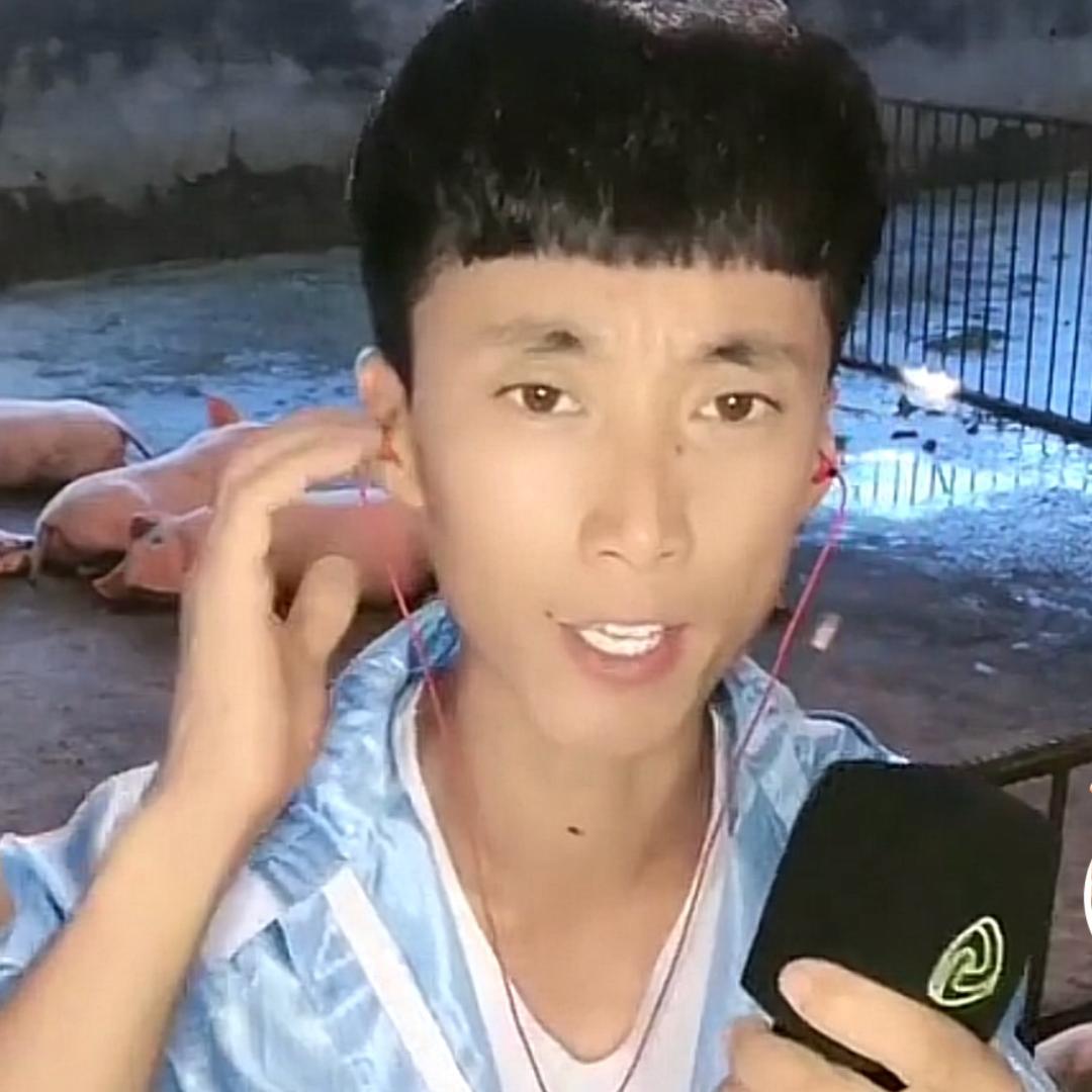 春雷🎤养猪小歌