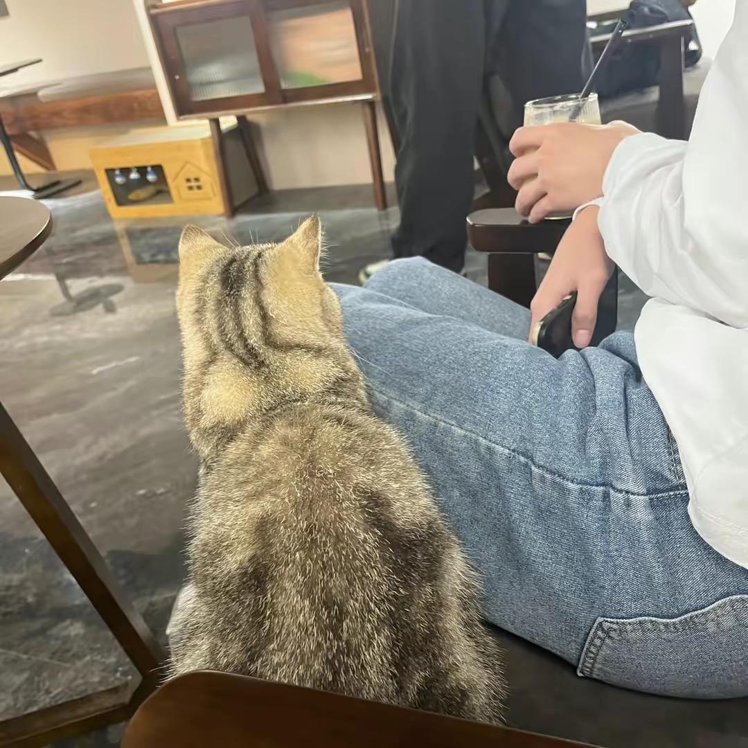天天見