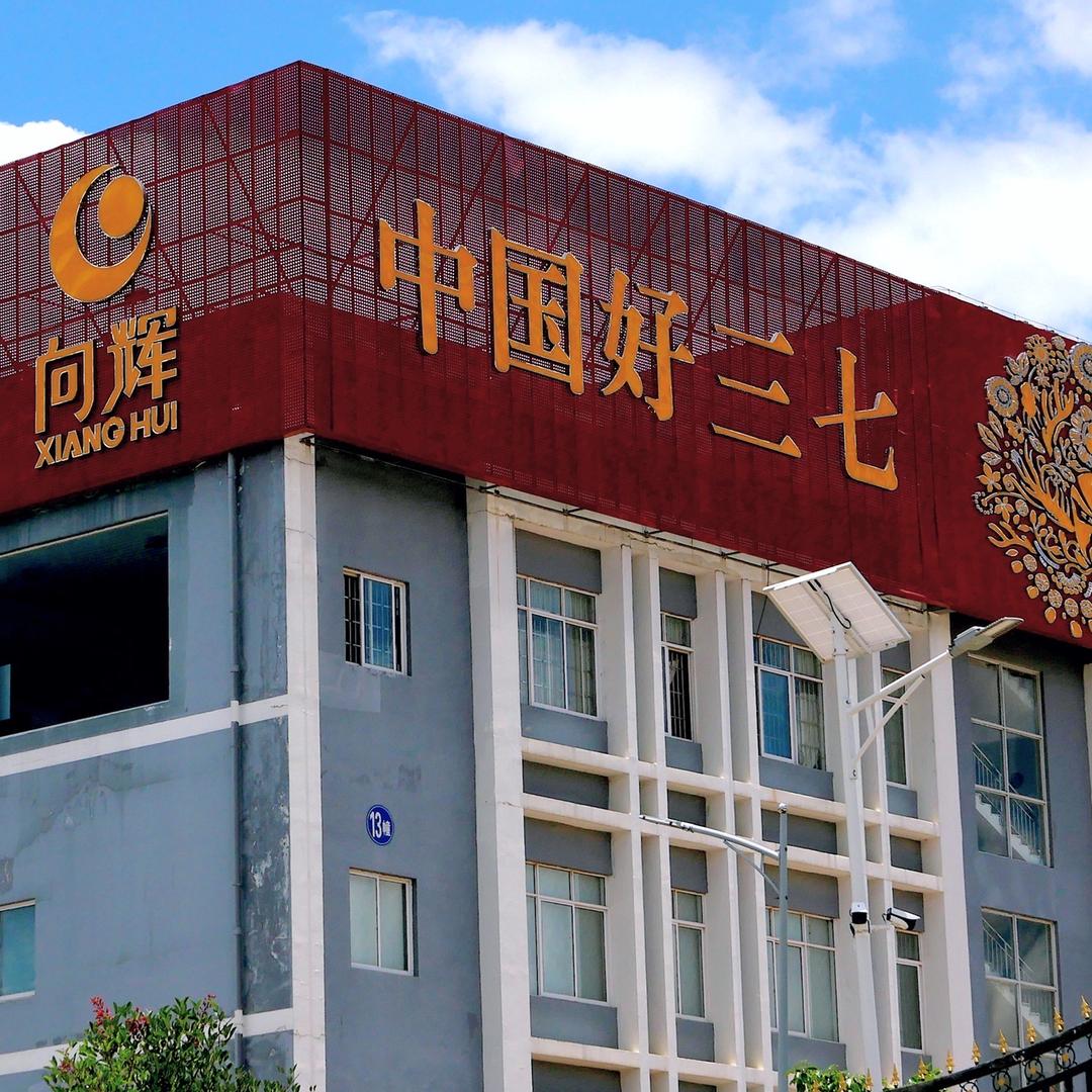 向辉三七官方号