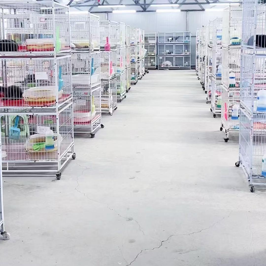 连连宠物养殖基地