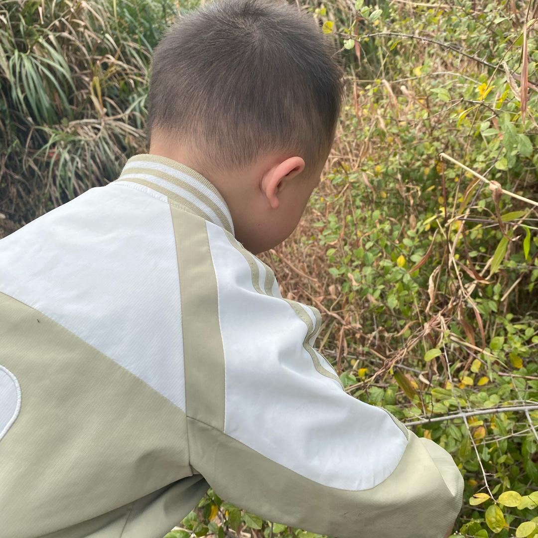 踮起脚尖、靠近阳光