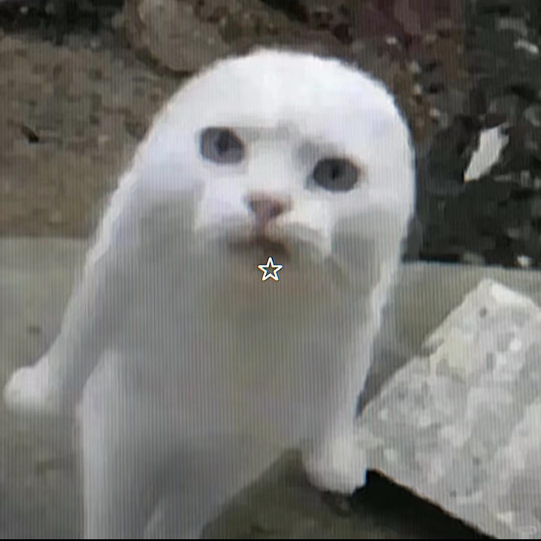 _