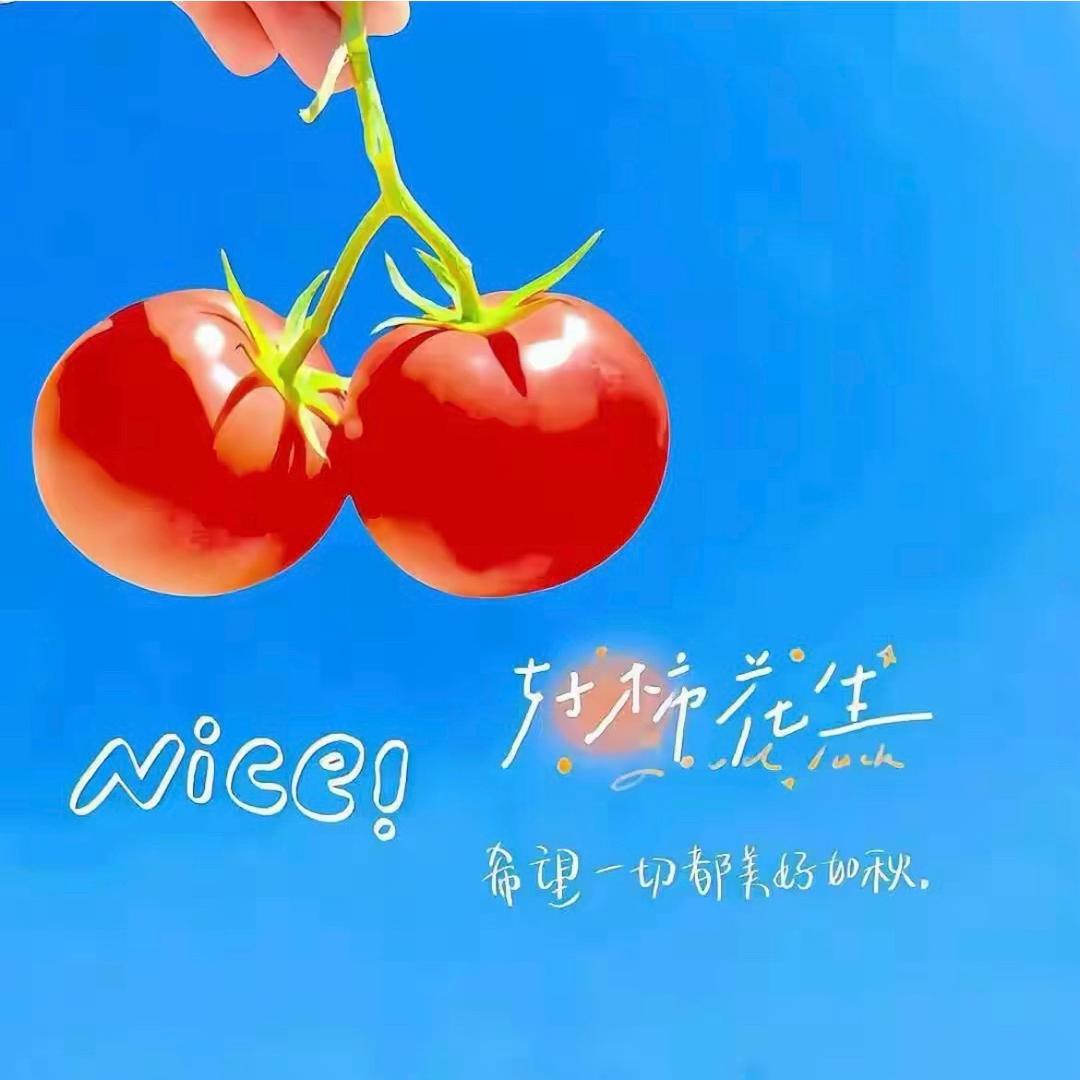 萌宝ヾﾉ≧∀≦)