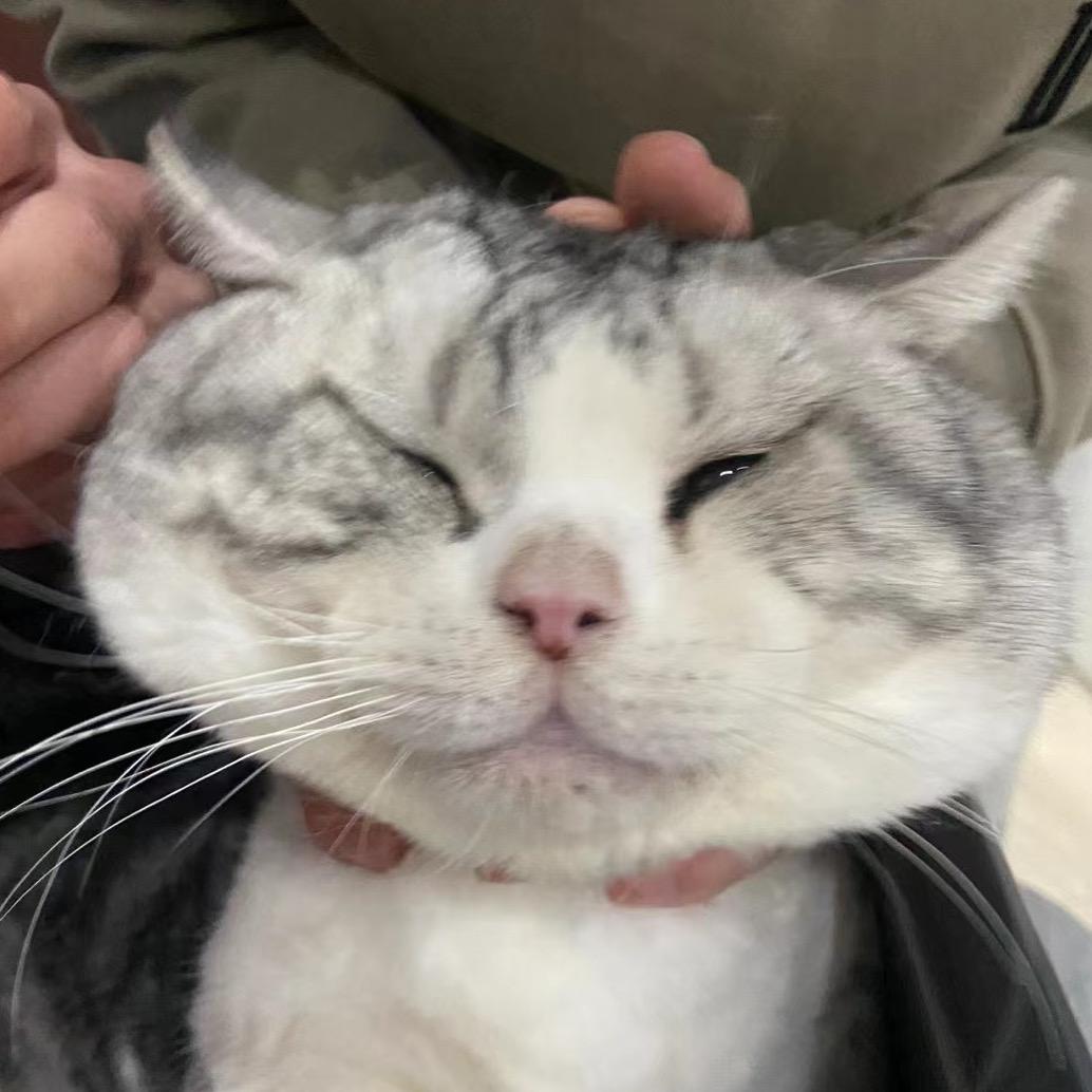 布尔不二