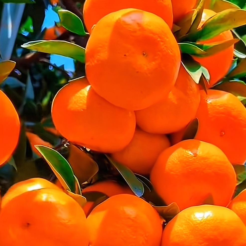 我从没亏欠过谁。