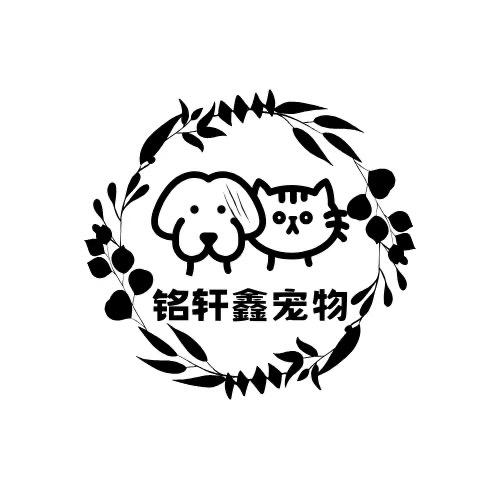 成都哈巴狗宠物