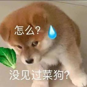 一个好梦被一泡尿憋醒