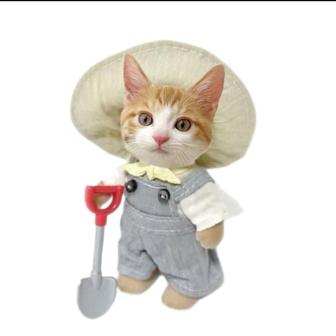 史上地位最高的男人