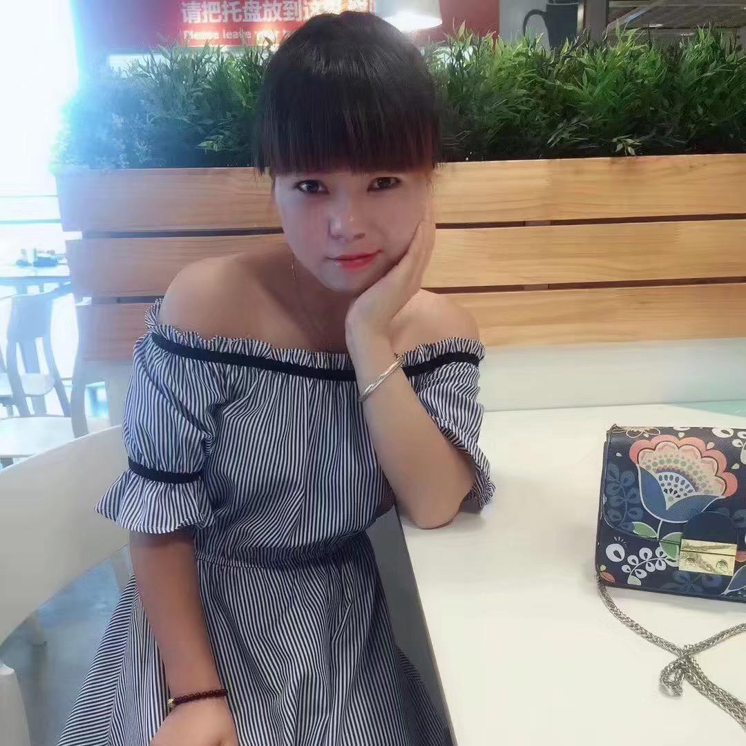 鸽子