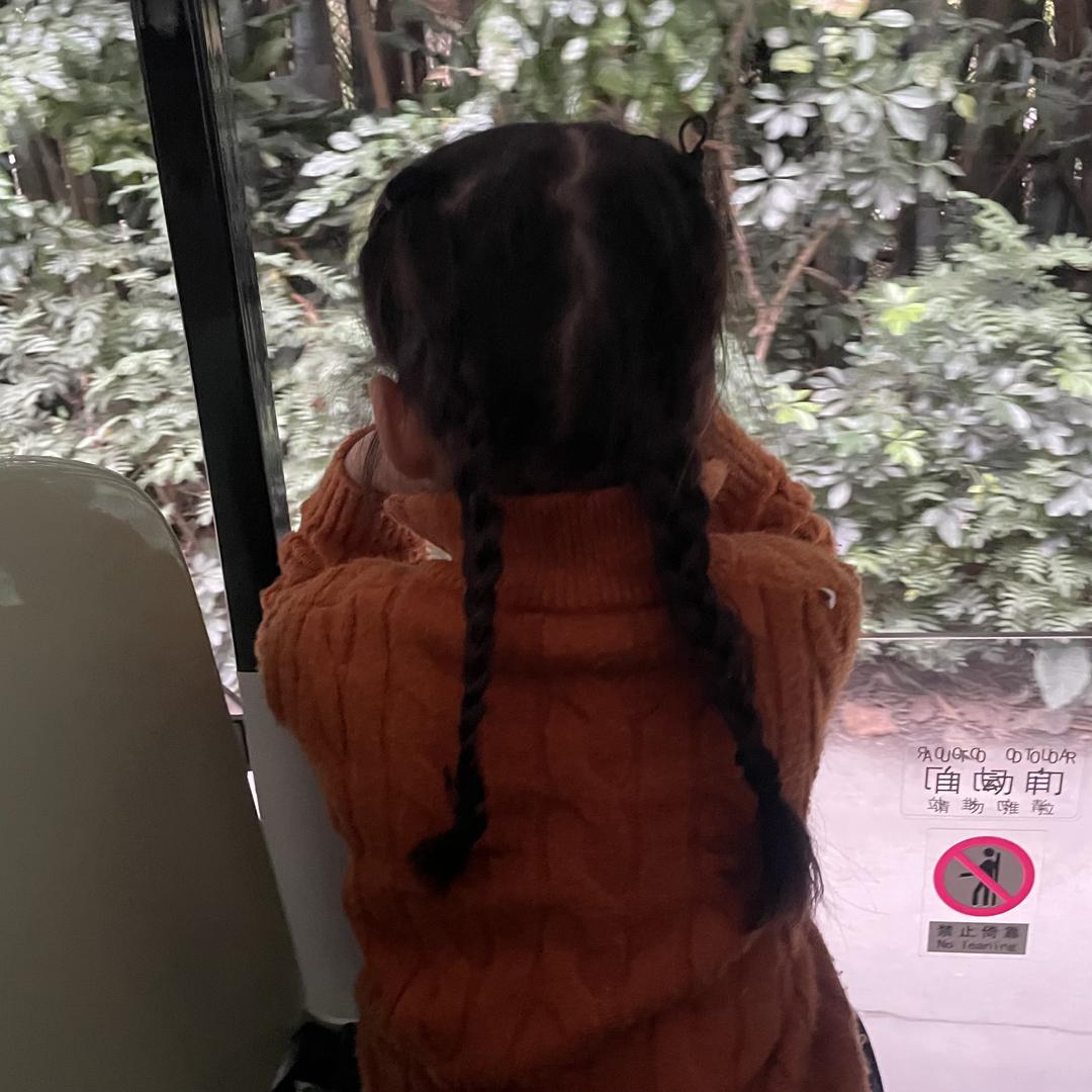 小肉肉👫