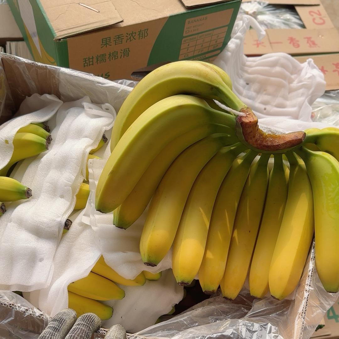 彦朋香蕉