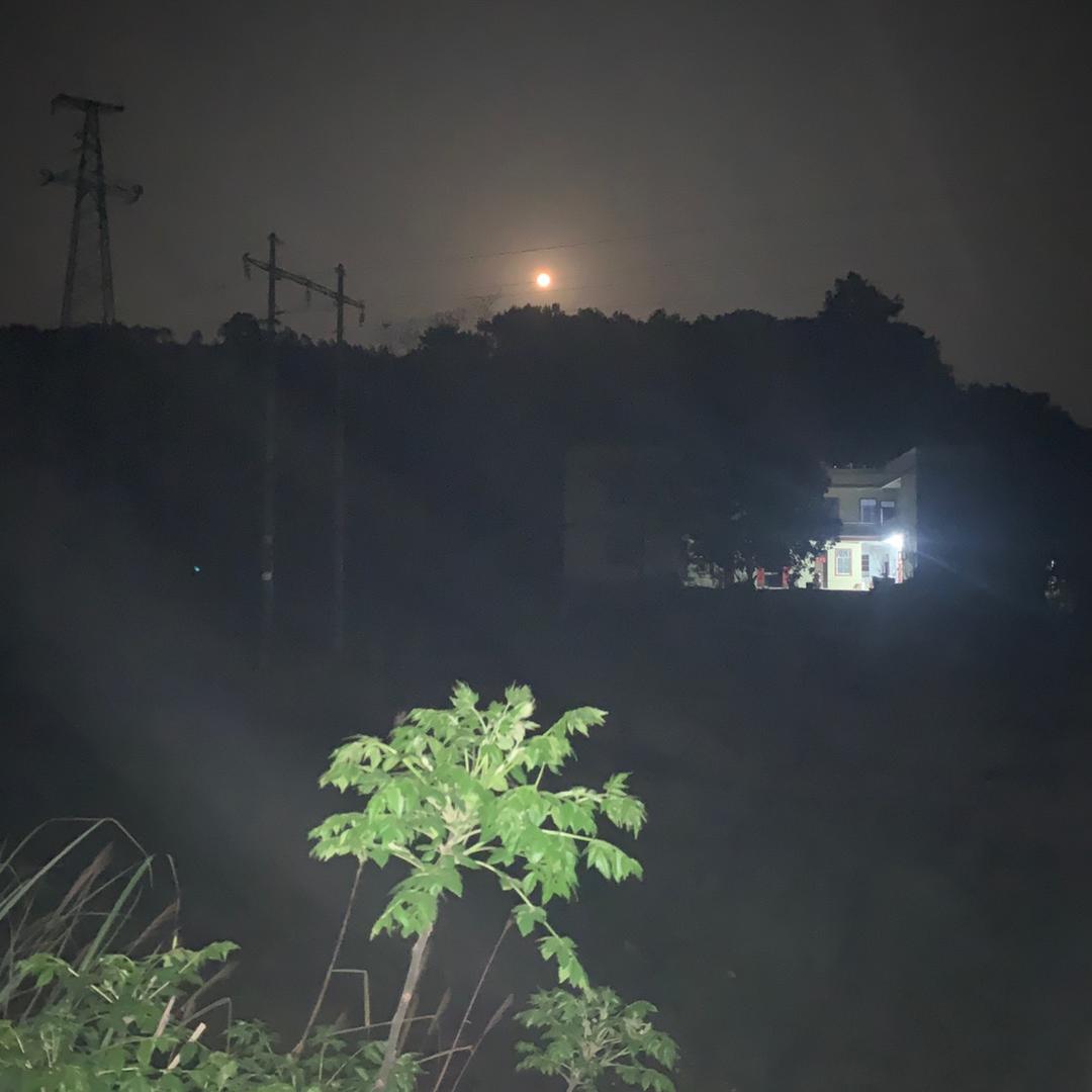 卢小泉