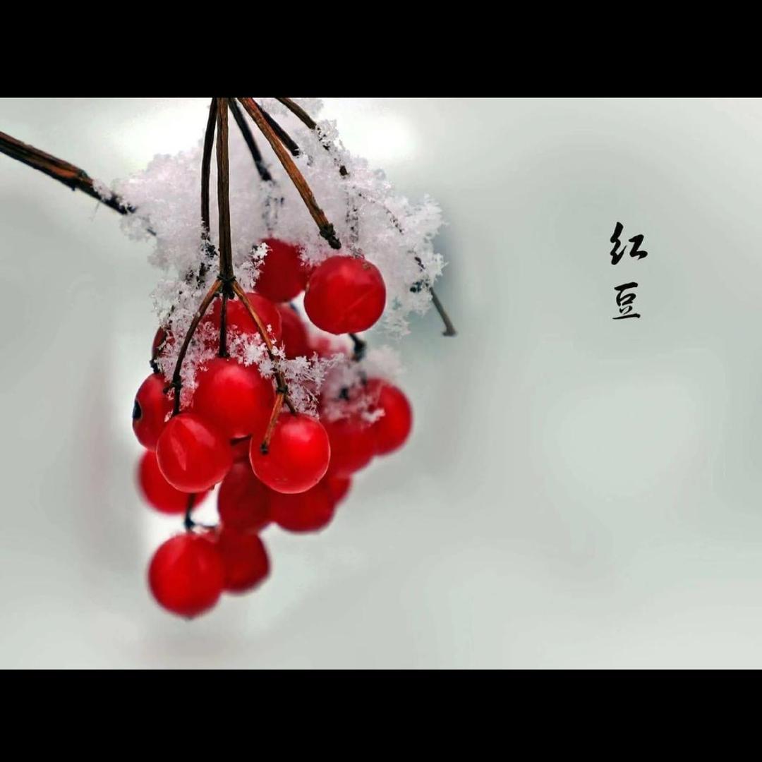 红豆