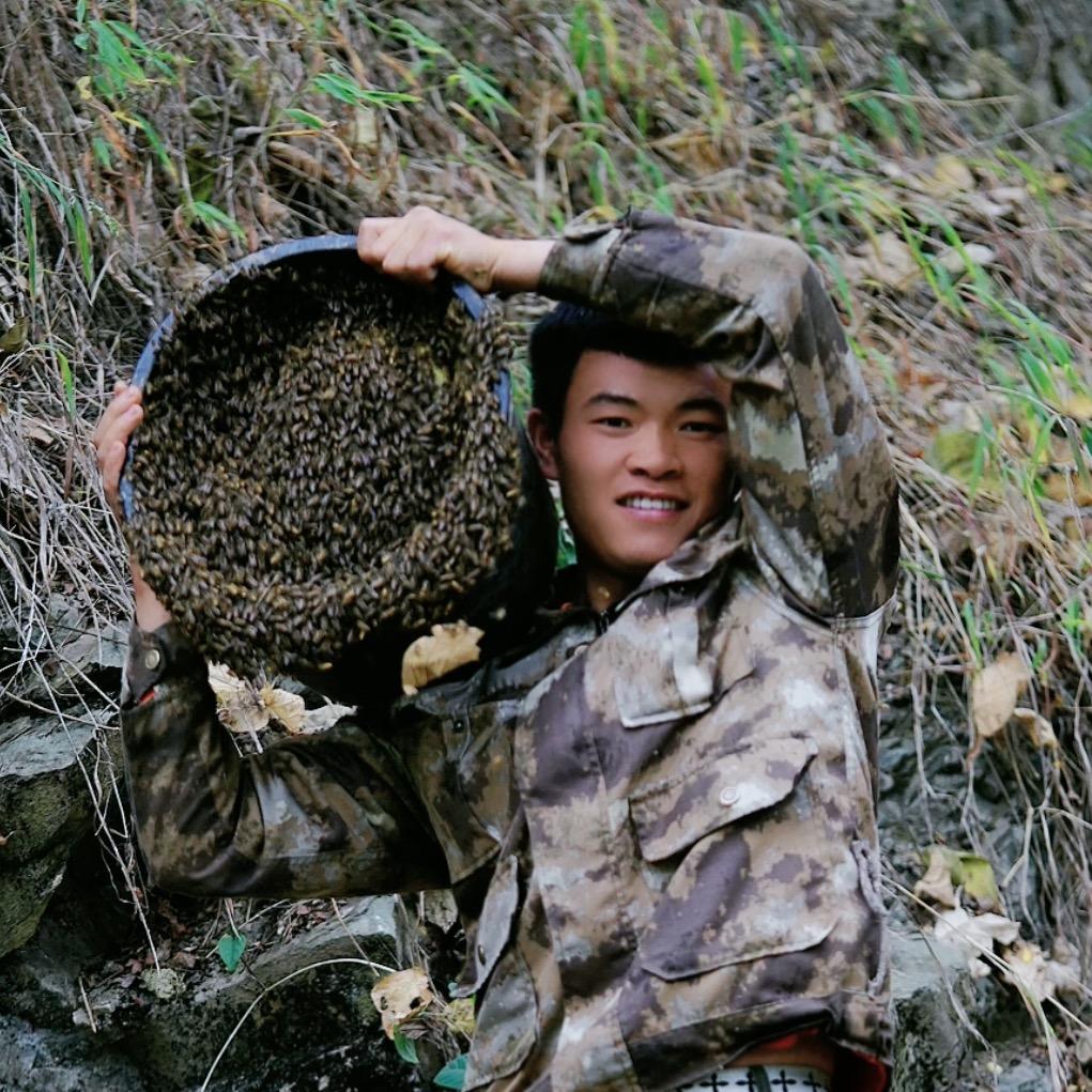 大表哥胡蜂蜜蜂养蜂（免费技术咨询）