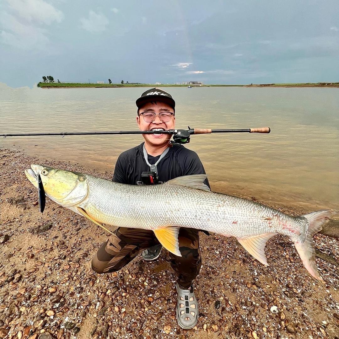 路亚黄锐🎣（日常）