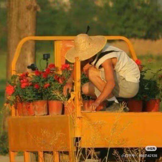 宇宙无敌芝士片