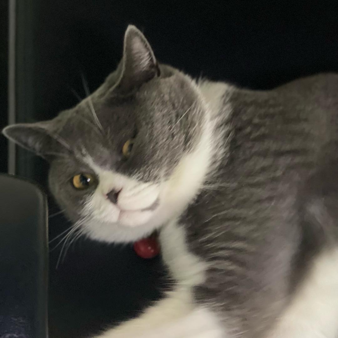 上吊吧