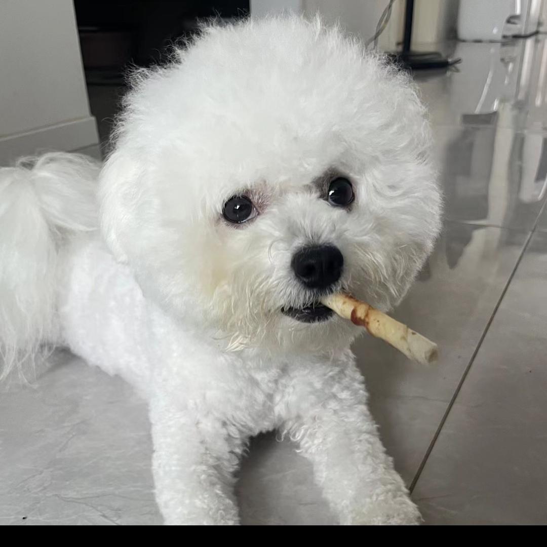 你是晓爽吗