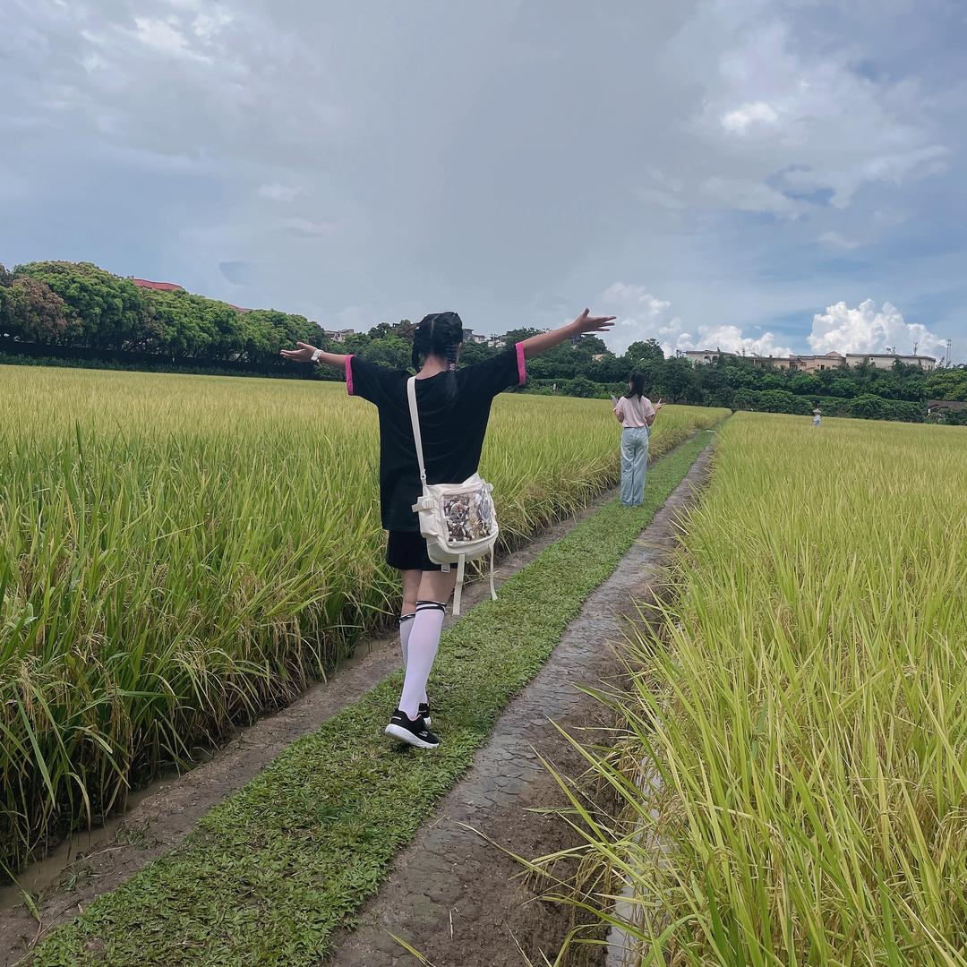 小戴子