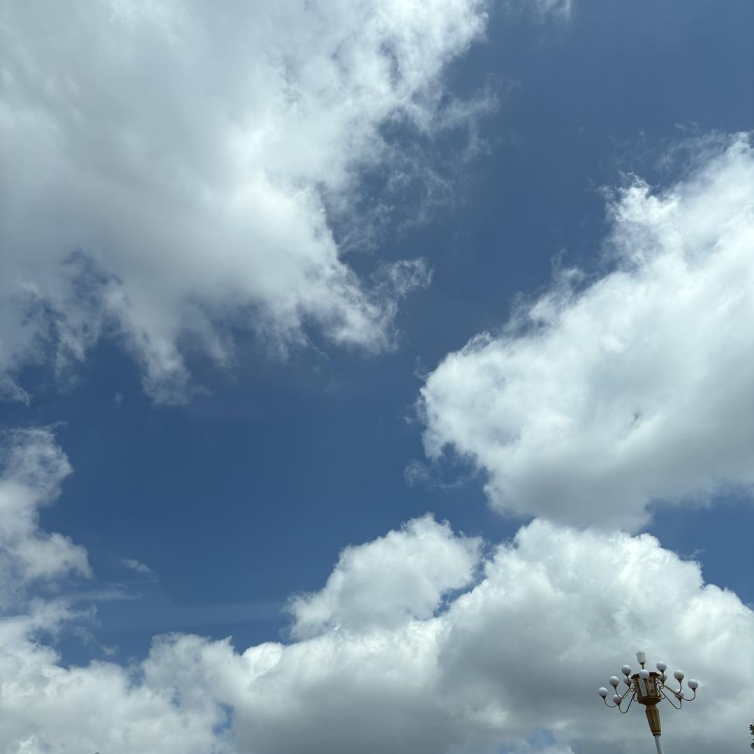 养牡丹鹦鹉的小姐姐