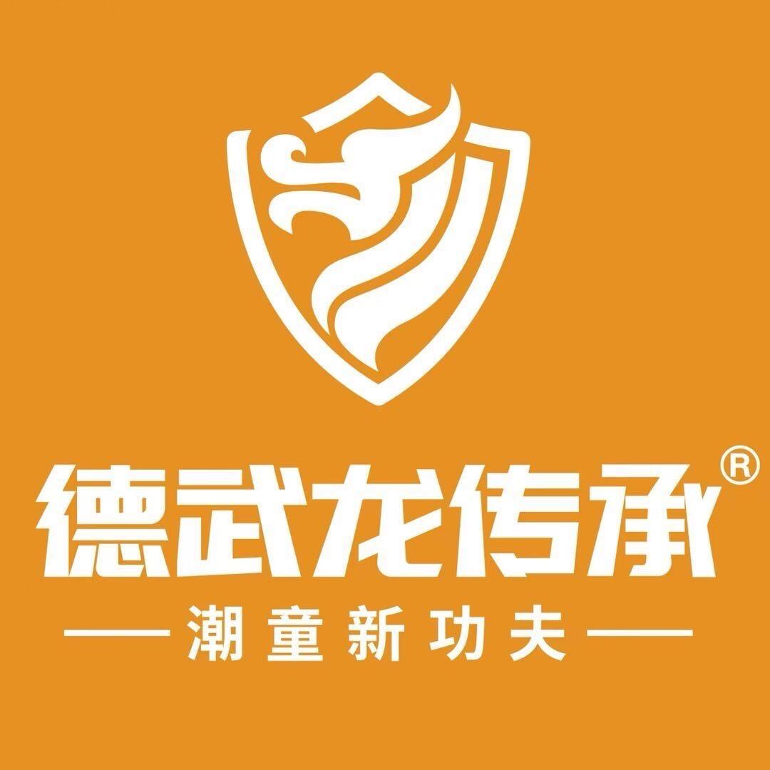 德武龙传承少儿搏击义马校区